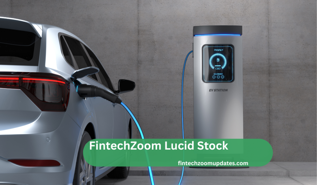 Rivalry with the Competition in the Electric Vehicle Market