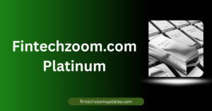 fintechzoom.com platinum